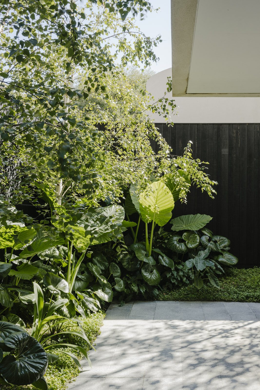 Garden beds